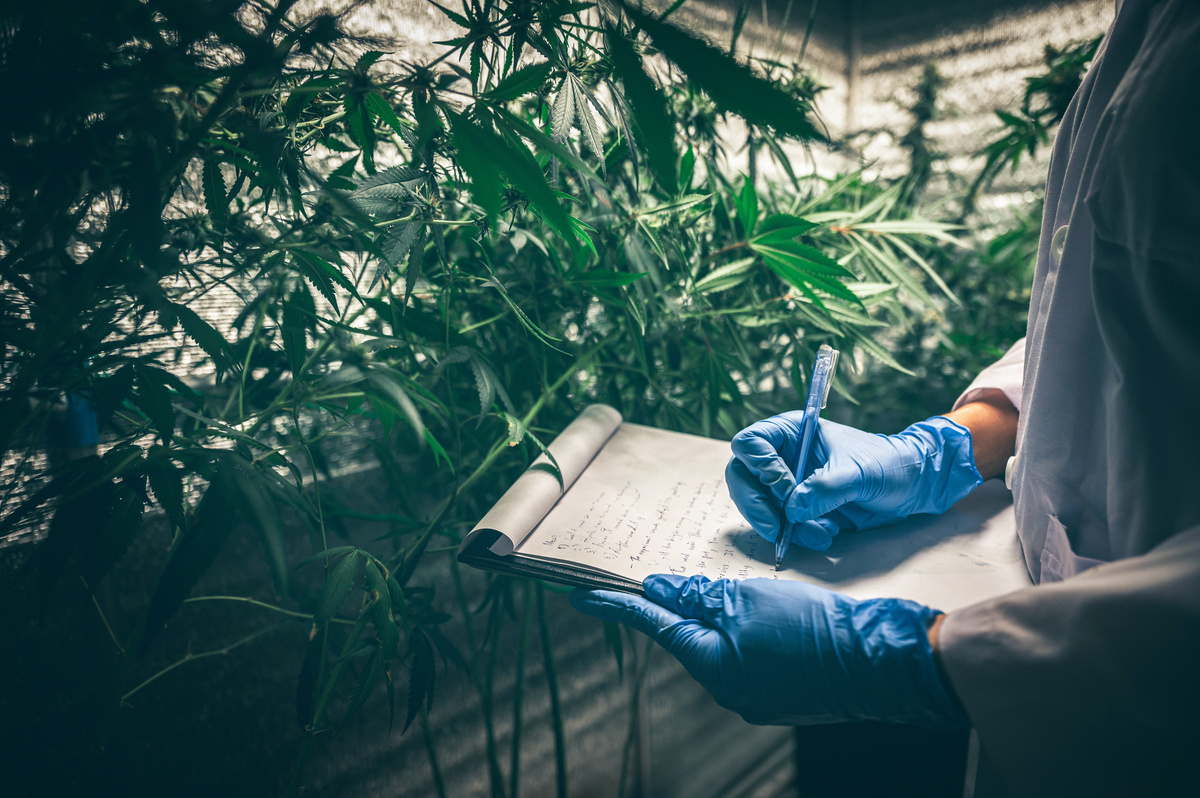 General Packaging Requirements General Packaging Requirements