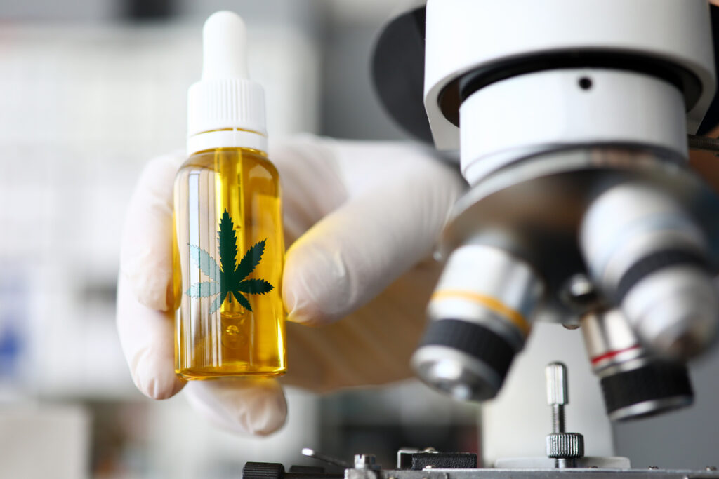 The Future of Cannabis Packaging in Florida