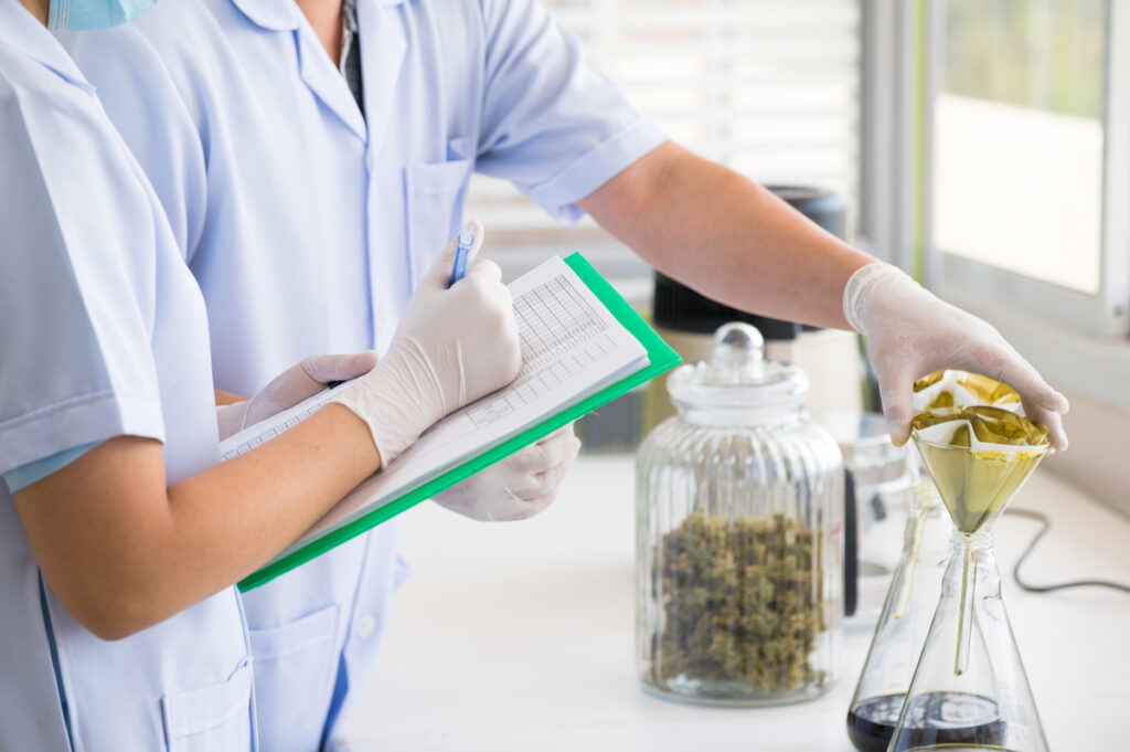 Compliance, Testing, and Enforcement in Georgia