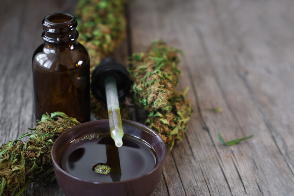 Packaging Submission and Approval Process in Georgia