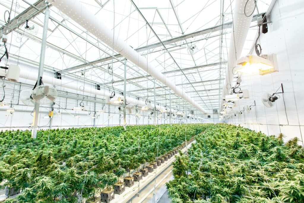 Testing Transparency in Arkansas