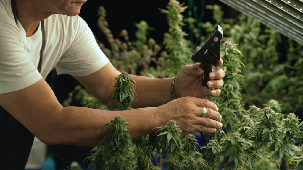 Labeling Requirements in New Hampshire
